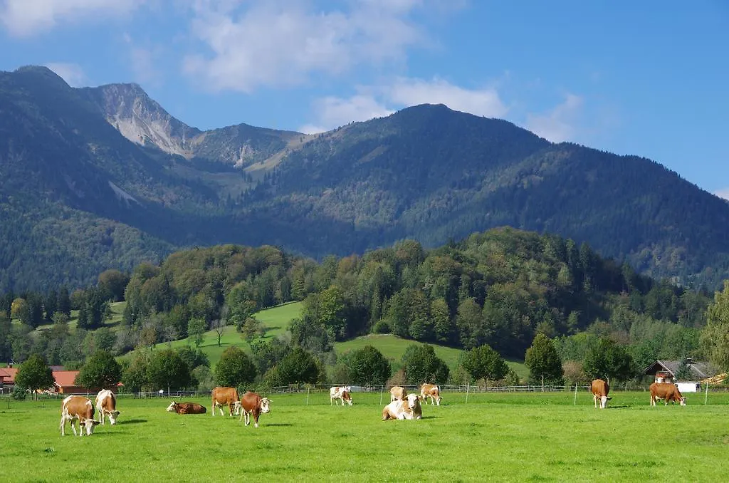Deva Hotel Alpenhof